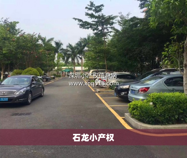 石龙小产权