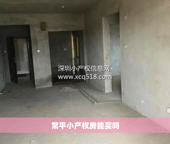 常平小产权房能买吗