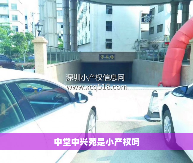 中堂中兴苑是小产权吗