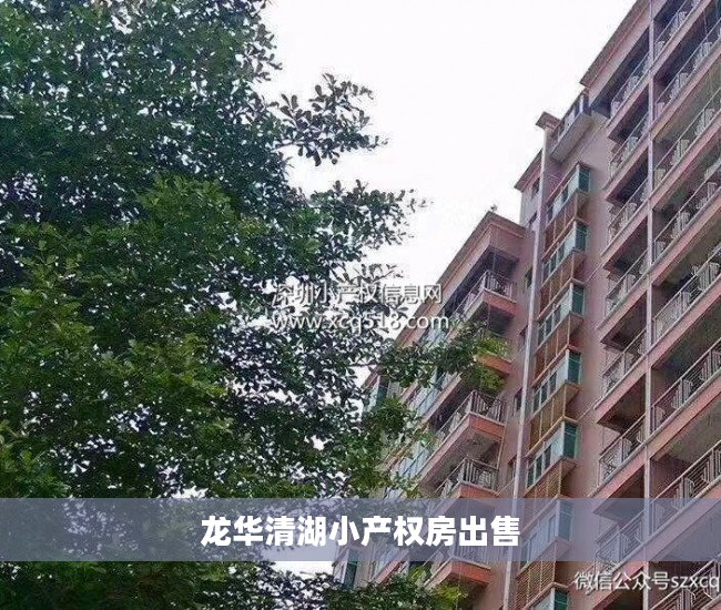 龙华清湖小产权房出售