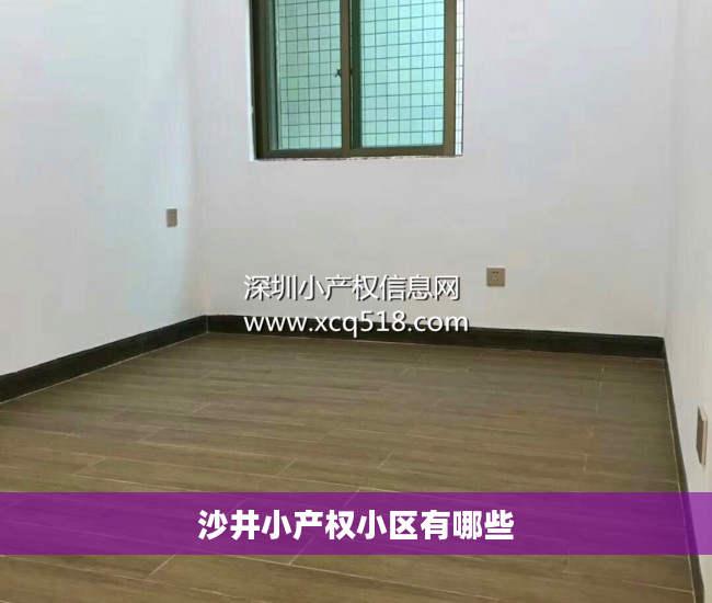 沙井小产权小区有哪些