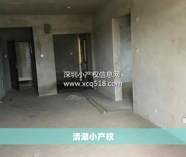 清湖小产权