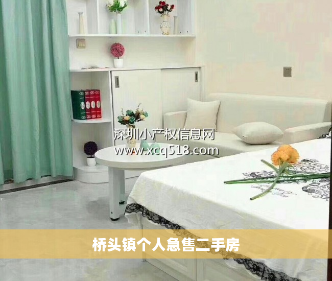 桥头镇个人急售二手房
