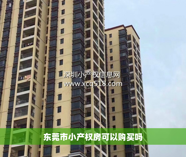 东莞市小产权房可以购买吗