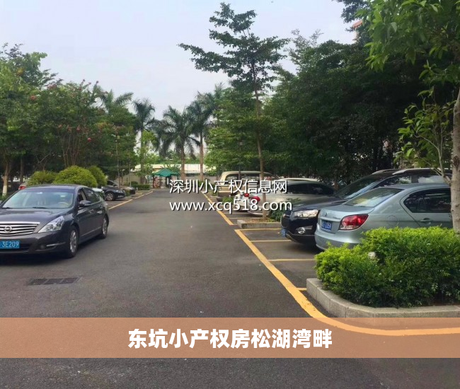 东坑小产权房松湖湾畔