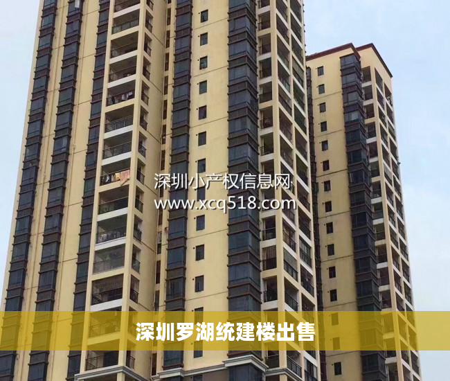 深圳罗湖统建楼出售