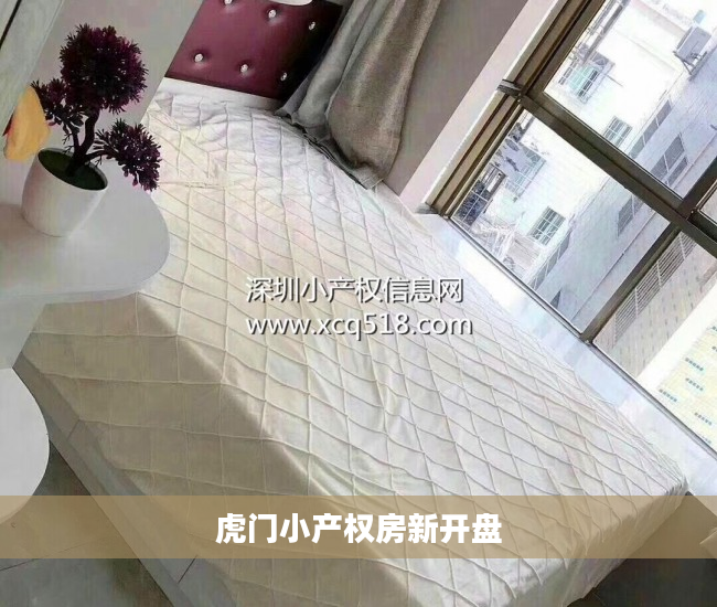 虎门小产权房新开盘