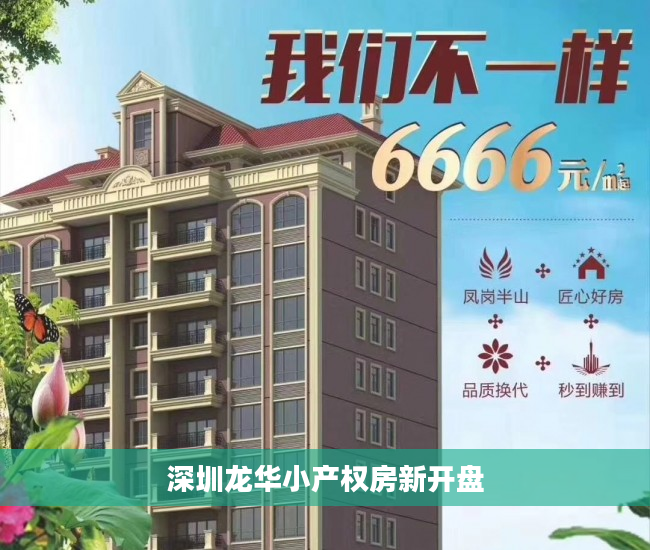 深圳龙华小产权房新开盘