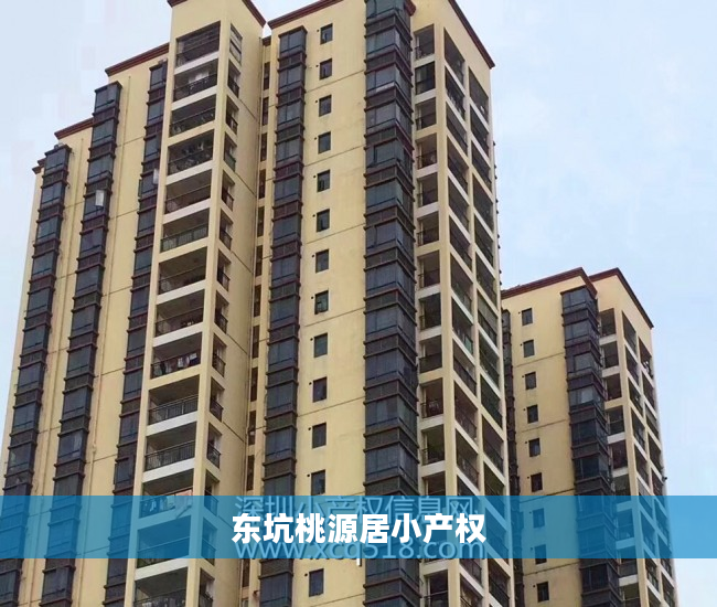 东坑桃源居小产权