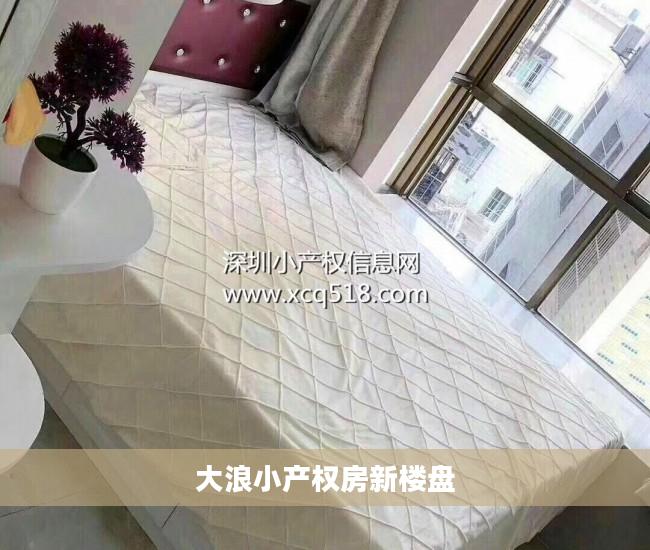 大浪小产权房新楼盘