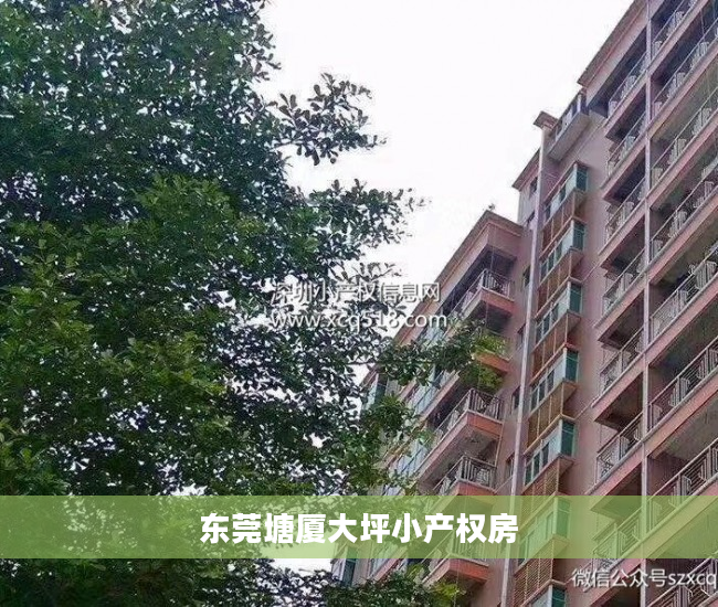 东莞塘厦大坪小产权房