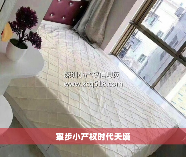 寮步小产权时代天境