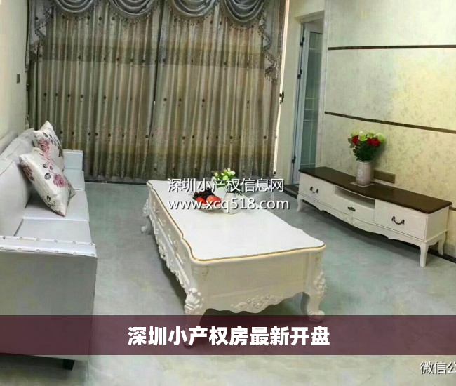 深圳小产权房最新开盘