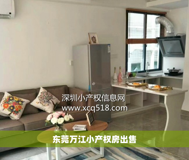 东莞万江小产权房出售