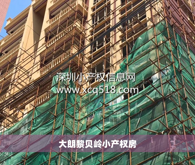 大朗黎贝岭小产权房