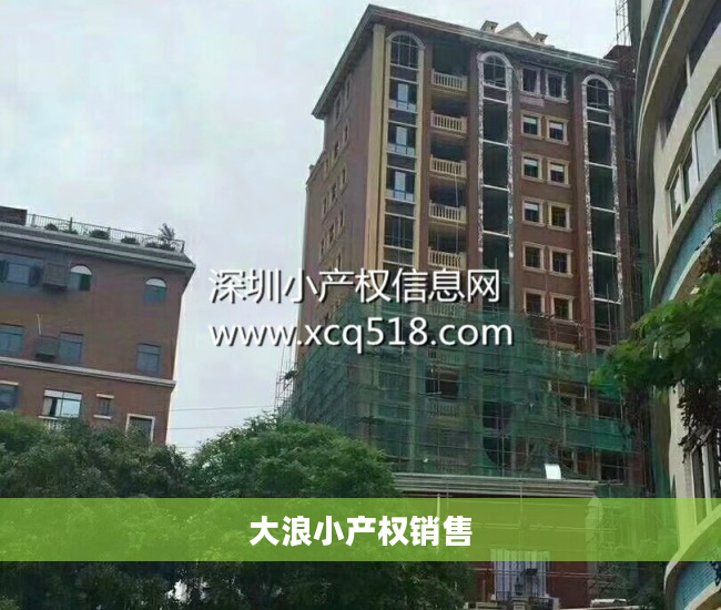 大浪小产权销售