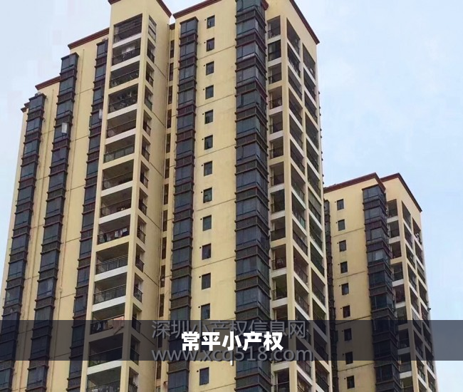 常平小产权