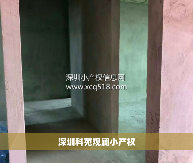 深圳科苑观澜小产权