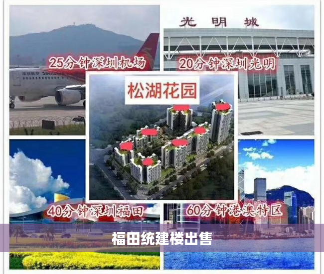 福田统建楼出售