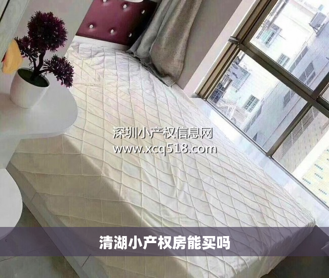 清湖小产权房能买吗