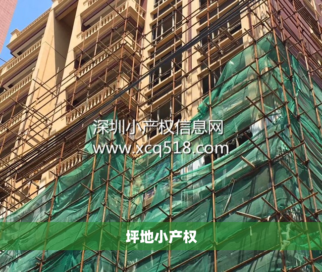 坪地小产权