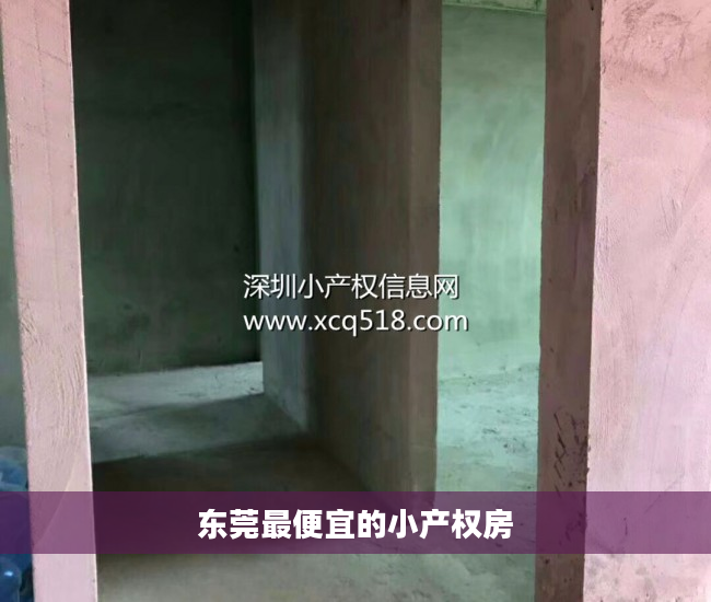 东莞最便宜的小产权房