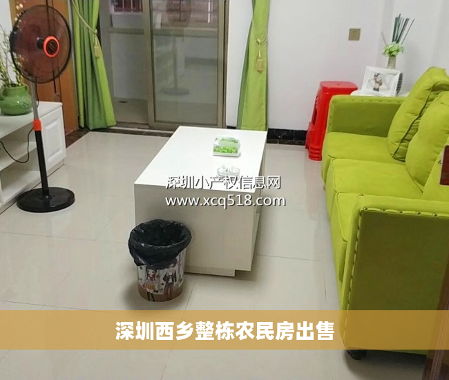 深圳西乡整栋农民房出售