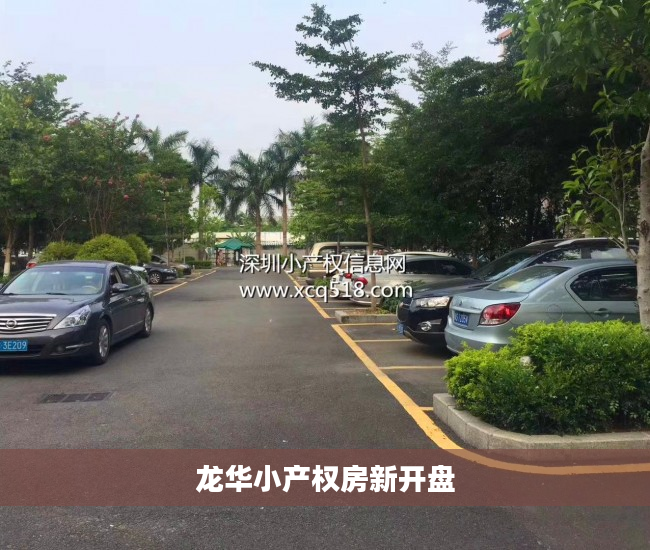 龙华小产权房新开盘