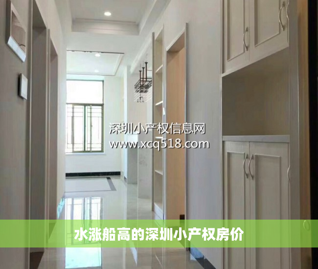 水涨船高的深圳小产权房价