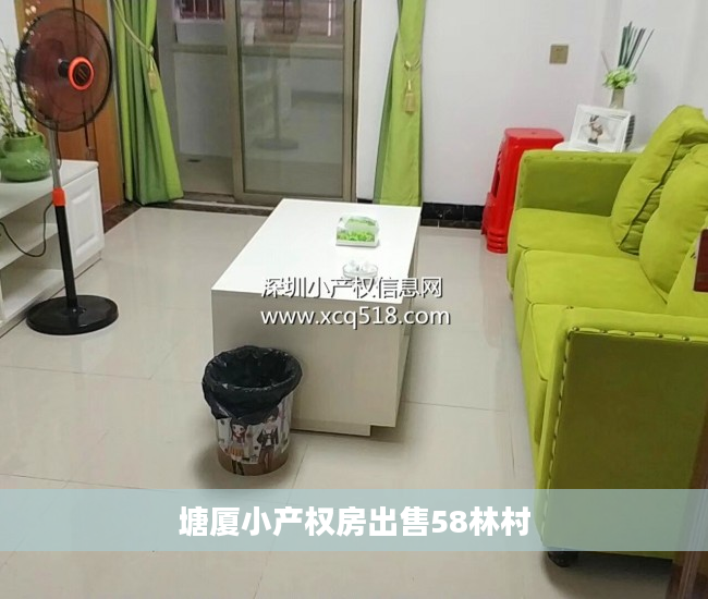 塘厦小产权房出售58林村