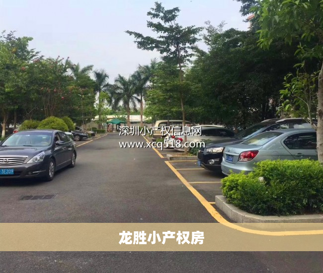 龙胜小产权房