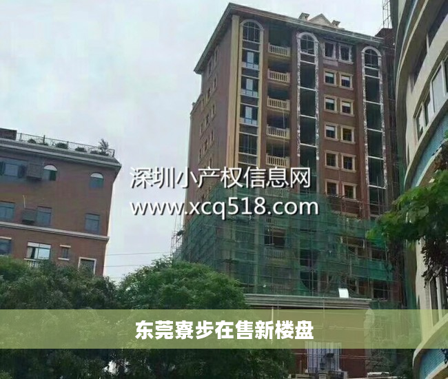 东莞寮步在售新楼盘