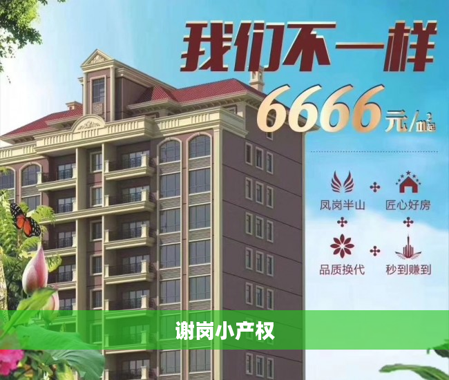 谢岗小产权