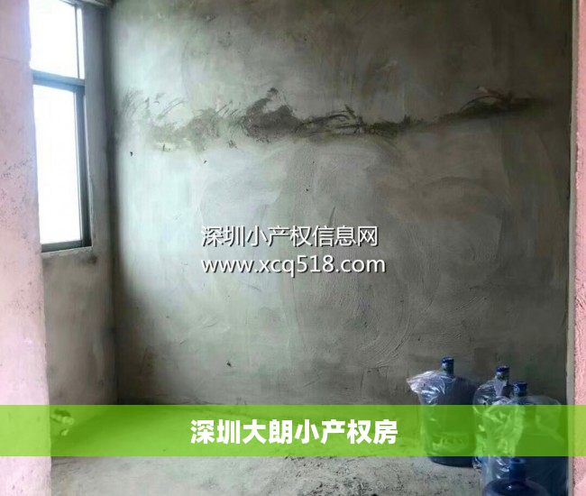 深圳大朗小产权房