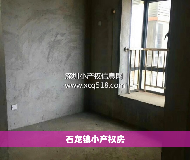 石龙镇小产权房