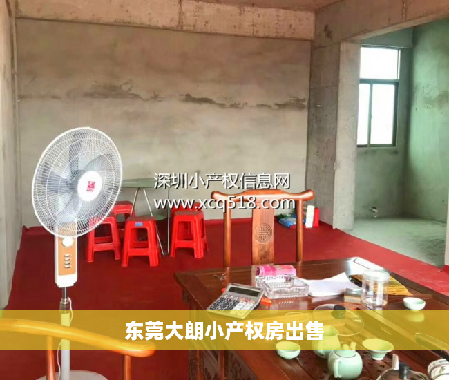 东莞大朗小产权房出售