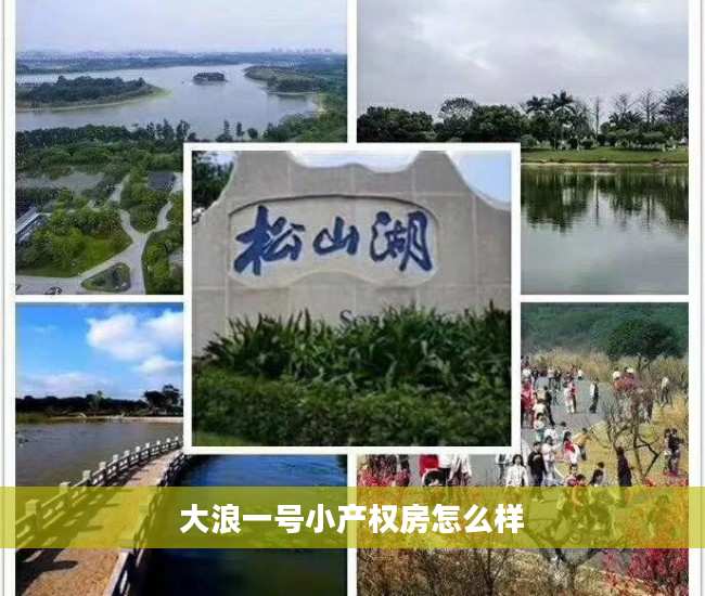 大浪一号小产权房怎么样