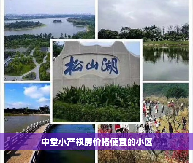 中堂小产权房价格便宜的小区
