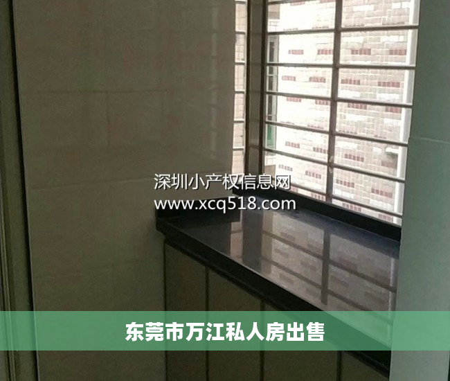东莞市万江私人房出售