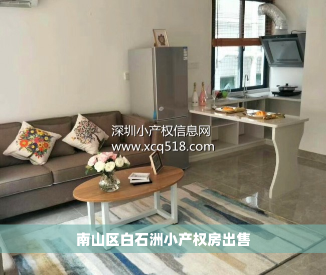 南山区白石洲小产权房出售