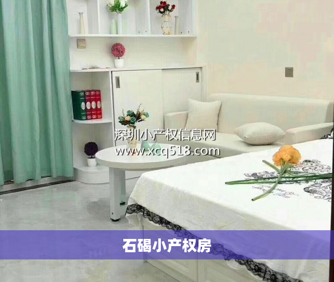 石碣小产权房