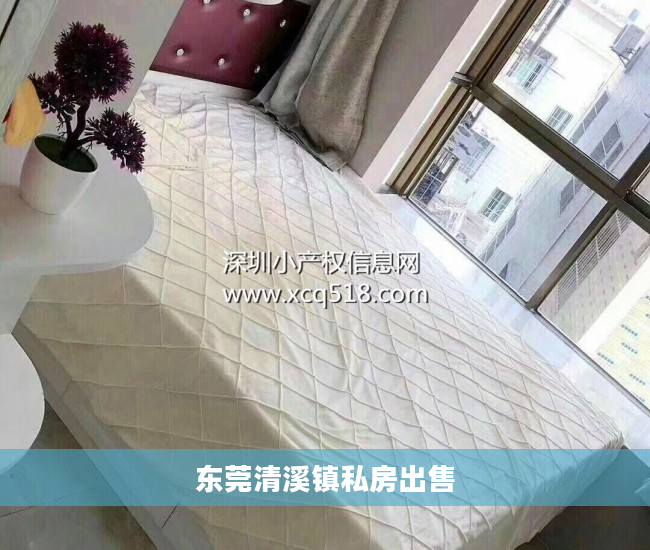 东莞清溪镇私房出售
