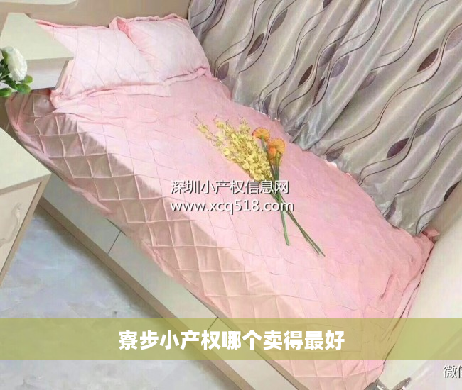寮步小产权哪个卖得最好