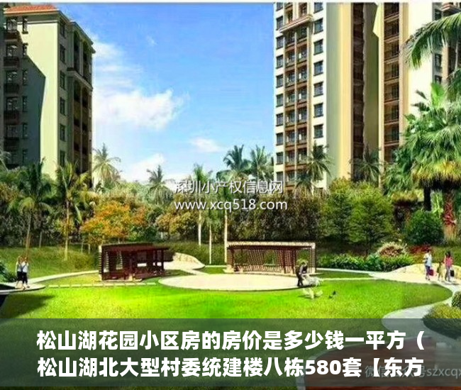 松山湖花园小区房的房价是多少钱一平方（松山湖北大型村委统建楼八栋580套【东方明珠】 ）买小产权房怎么样，