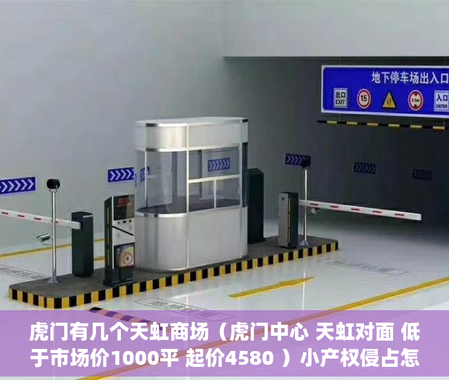 虎门有几个天虹商场（虎门中心 天虹对面 低于市场价1000平 起价4580 ）小产权侵占怎么办，