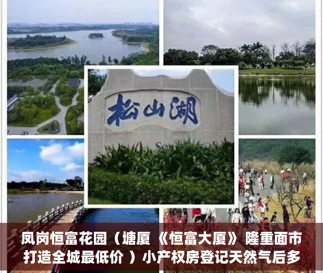凤岗恒富花园（塘厦 《恒富大厦》 隆重面市打造全城最低价 ）小产权房登记天然气后多久会搞好，