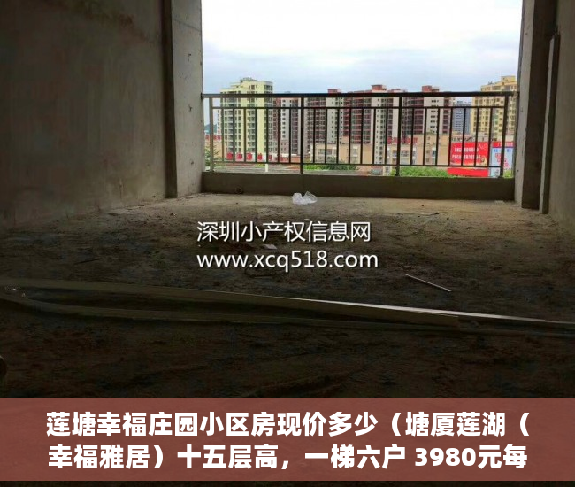 莲塘幸福庄园小区房现价多少（塘厦莲湖（幸福雅居）十五层高，一梯六户 3980元每平米 ）小产权房子多久收楼，