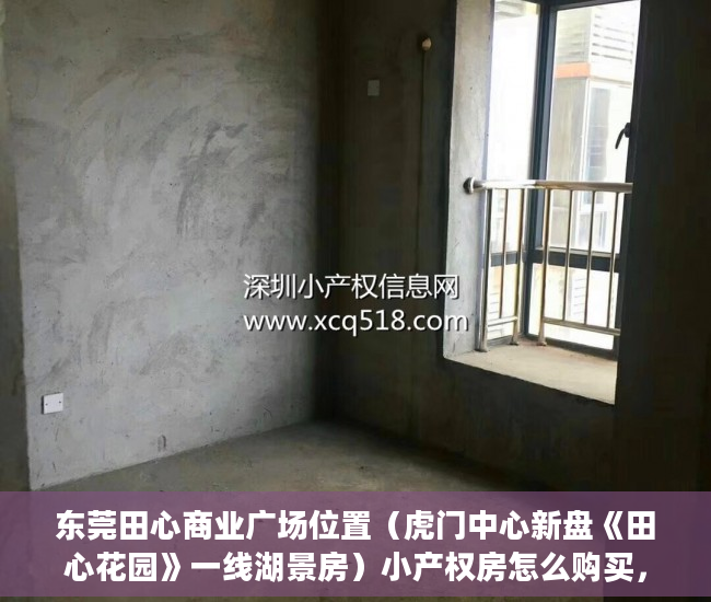 东莞田心商业广场位置（虎门中心新盘《田心花园》一线湖景房）小产权房怎么购买，