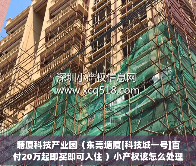 塘厦科技产业园（东莞塘厦[科技城一号]首付20万起即买即可入住 ）小产权该怎么处理，