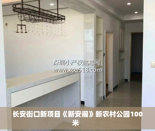 长安街口新项目《新安阁》新农村公园100米  